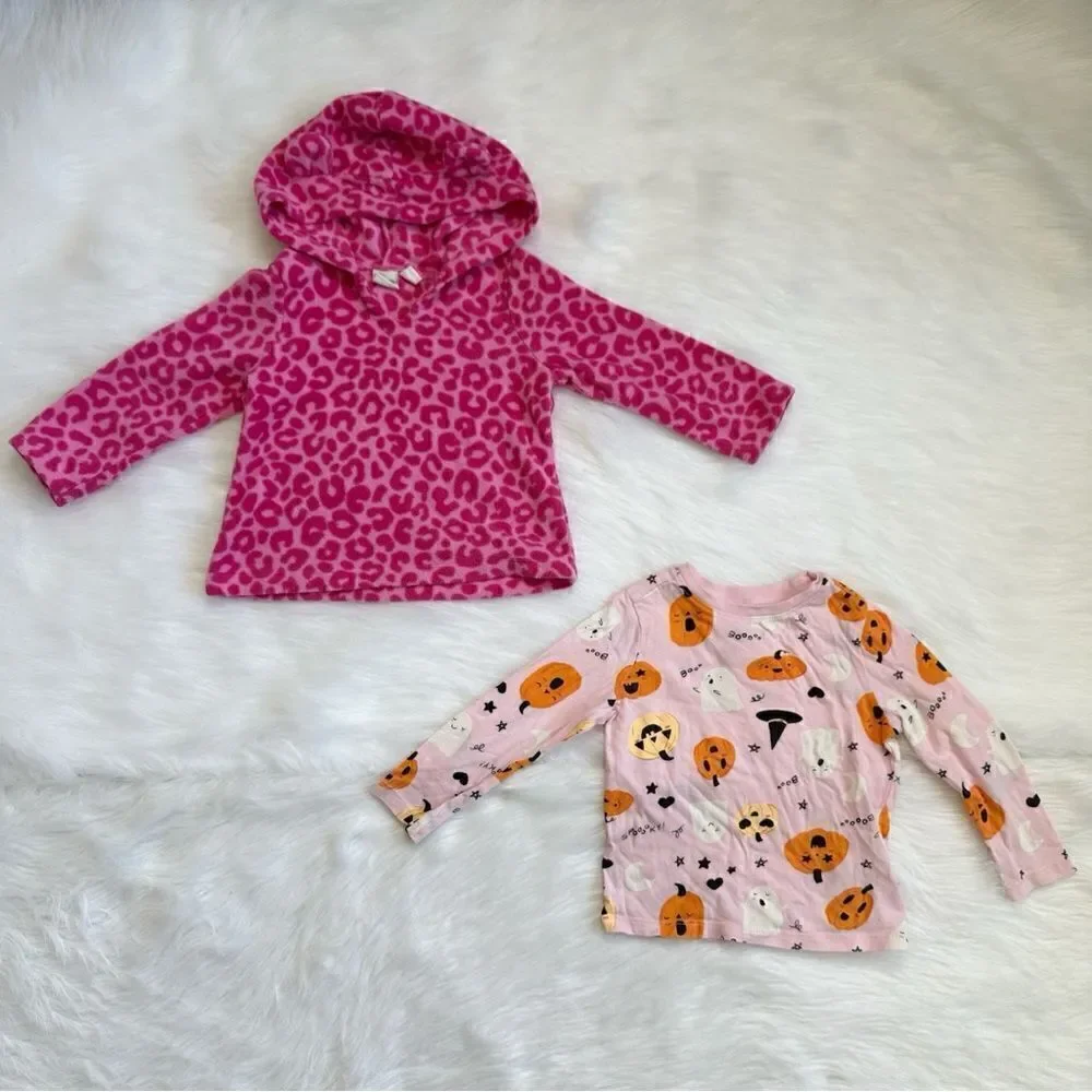 2T Baby Girl Fall/Winter Clothes LOT